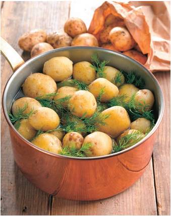 Brambory, historie, druhy brambor, jak vařit brambory