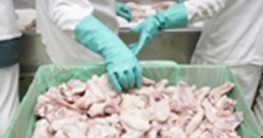 Veterináři kontrolují drůbeží maso