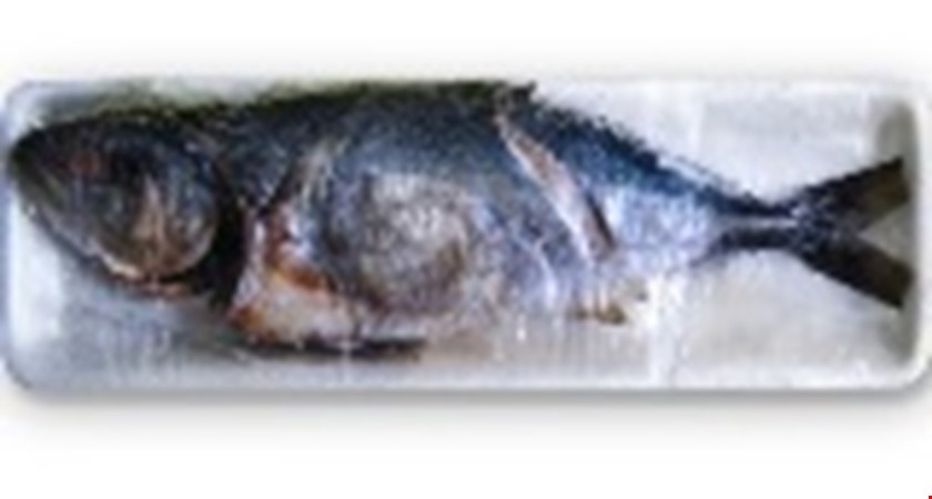 Jak se pozná zkažené rybí maso?