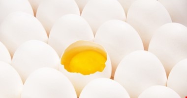 Mýty o vejcích