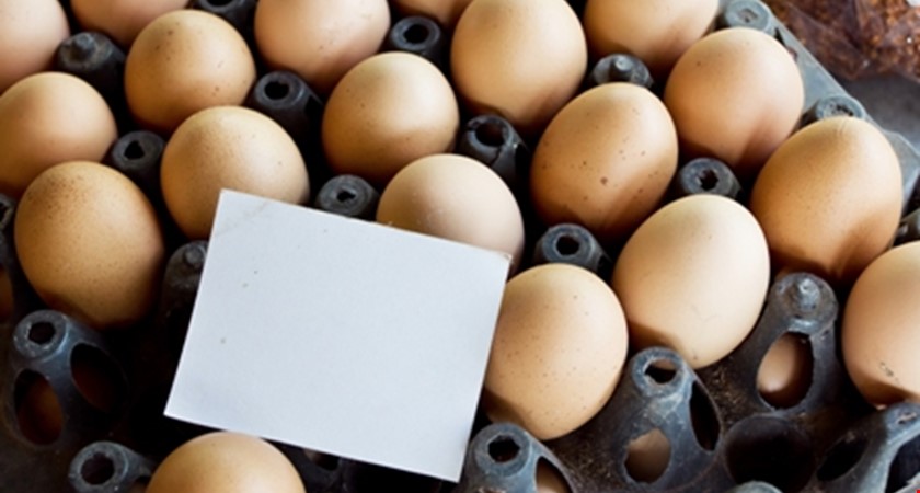 Dvě stě tisíc vajec z Polska se vrací k výrobci