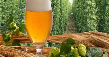 Do českých měst a vesnic se vracejí pivovary