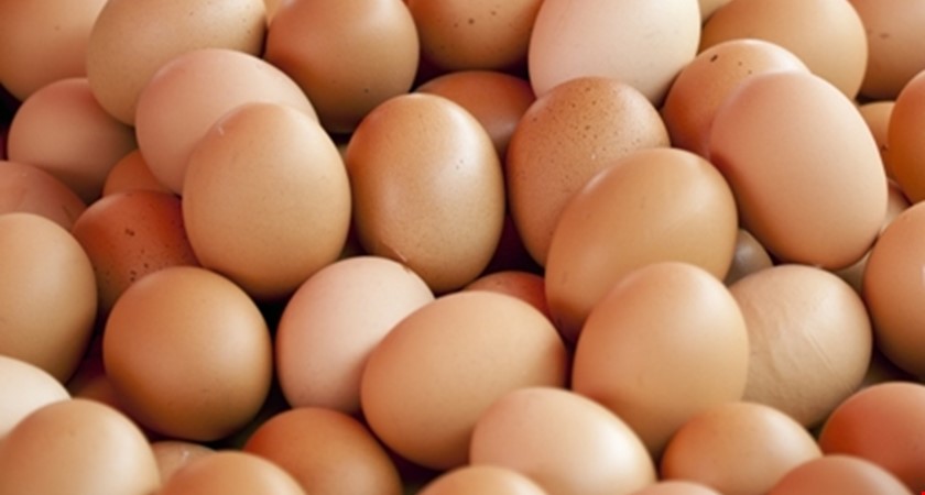Veterináři stáhli kvůli špatnému značení 16.000 vajec a maso