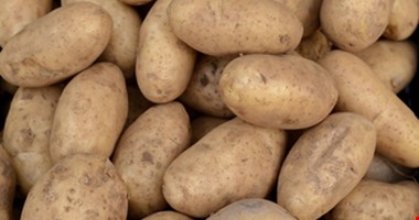 Rusko zakazuje od pondělka dovoz brambor z EU