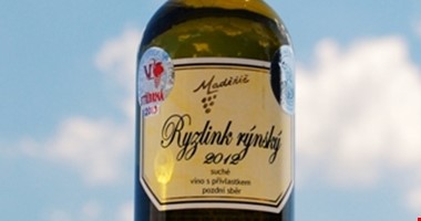 Moravští vinaři slaví úspěchy v zámoří