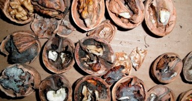 Pozor při nákupu ořechů, datlí a kaštanů