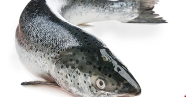 O polovinu méně masa v lososích nugetkách