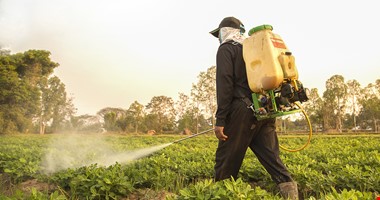 Obáváte se pesticidů? Dejte přednost českým plodinám!