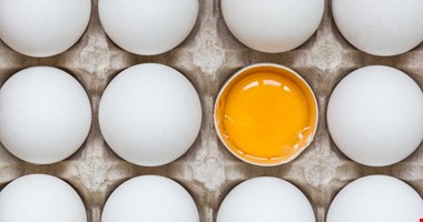 Co jsou IQ vejce: Opravdu je jejich nákup chytřejší?