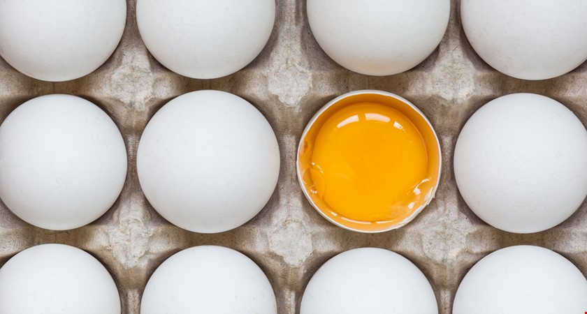 Co jsou IQ vejce: Opravdu je jejich nákup chytřejší?
