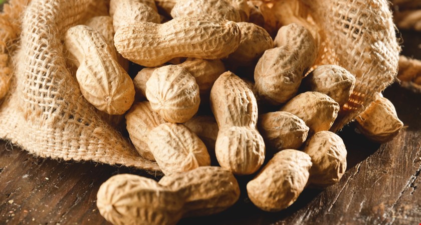 SZPI zabavila 18 tun arašídů, obsahovaly karcinogenní látky