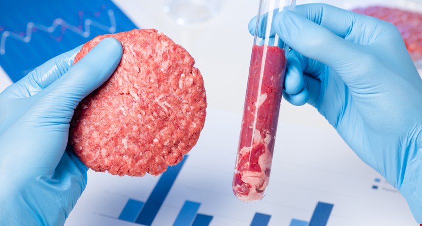Ekologické maso ze zkumavky: Časovaná bomba plná chemie