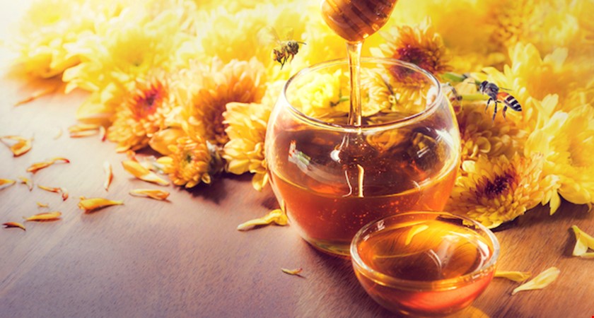 Jedna včela za svůj život nasbírá pouhou půlku čajové lžičky nektaru + další zajímavosti o medu