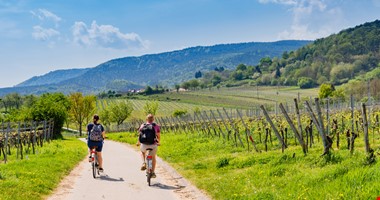 Na kole vinohrady Uherskohradišťska se pojede až v červenci